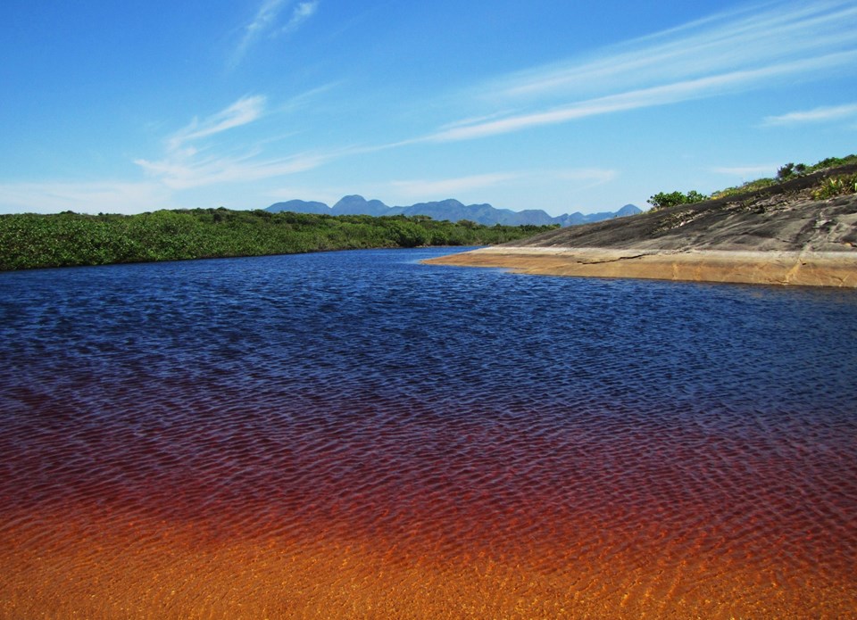 IMG_1015|||Fotógrafo:Terence J. Nascentes/Site Iema-ES